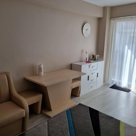 Appartamento Apartament Mon Jardin - Iasi Esterno foto