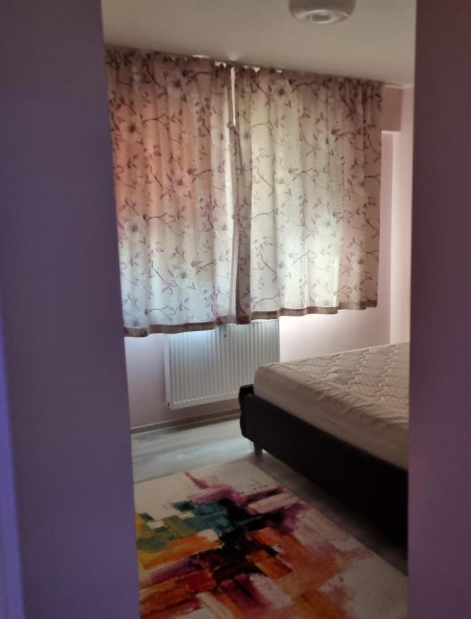 Appartamento Apartament Mon Jardin - Iasi Esterno foto
