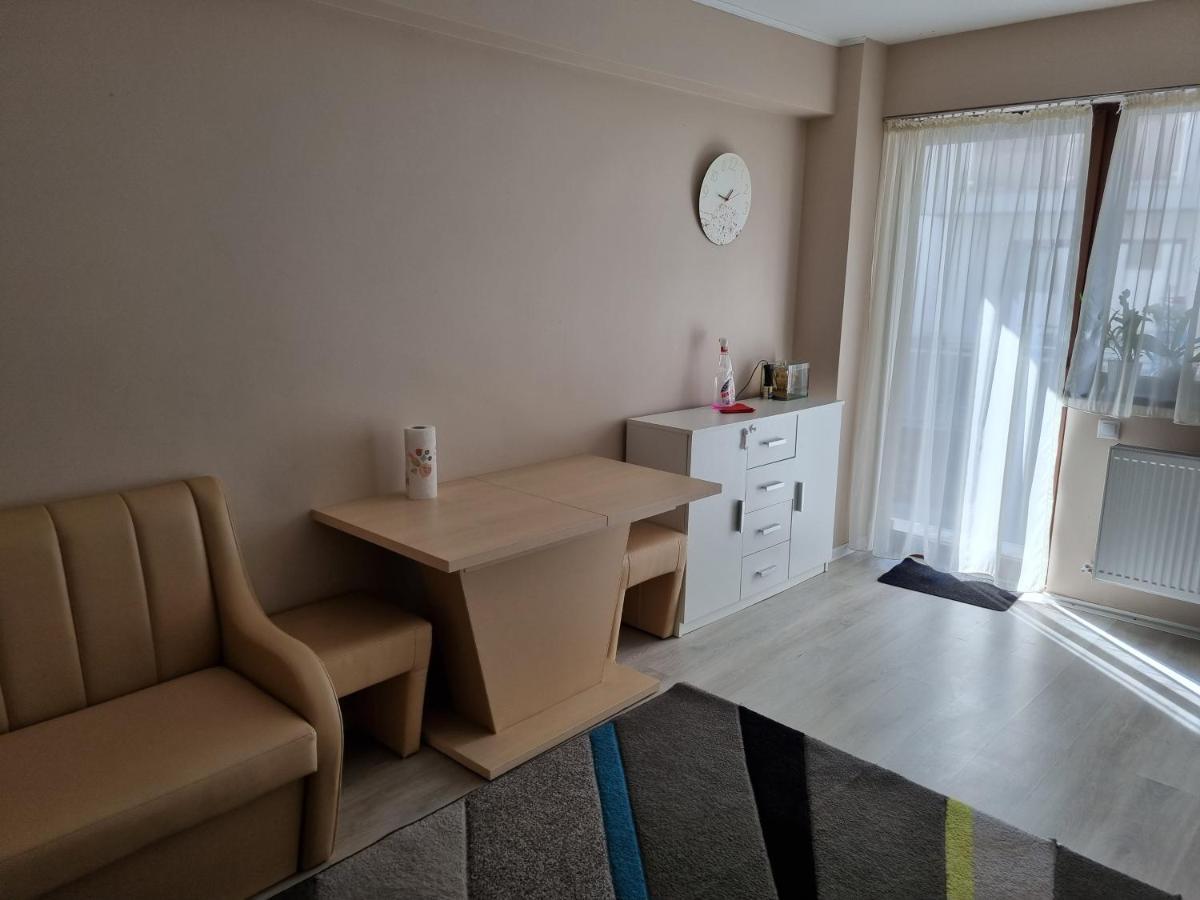 Appartamento Apartament Mon Jardin - Iasi Esterno foto